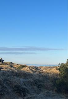 Seaside Inn Vibe At Golden Dunes By The North Sea - Saltum - 8