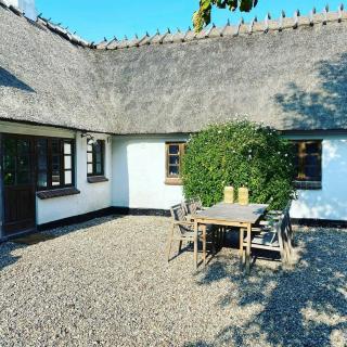 Family-Friendly Oasis With Sea View In Funen - Nyborg - 4