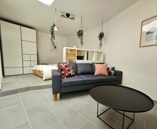 Newly Renovated Studio Loft in Prilly, Lausanne! RN18-5 - Prilly - 0