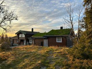 Cozy And Spacious Family Cabin In Valdres - Bagn - 8