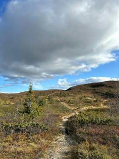 Cozy And Spacious Family Cabin In Valdres - 7