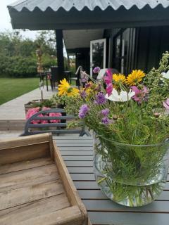 Green House Hidden Among Trees - 7