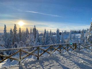 Cozy And Spacious Family Cabin In Valdres - 4
