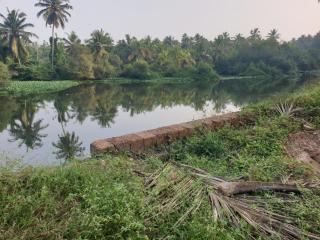 Farmville Riverside - Kakkayam - 5