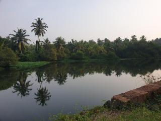 Farmville Riverside - Kakkayam - 8