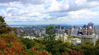 Holiday Inn Express Montreal Airport - St-Laurent by IHG - Montreal - 8