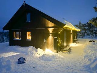 Modern Mountain Home At Nerskogen, Trollheimen - - 5