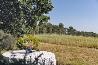 Connect In A Cosy Wooden Cottage - Knebel - 3