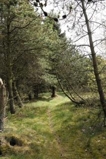 Renovated Estate With Private Beach - Roslev - 5