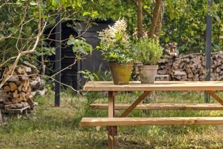 Fine Old Details Near Stubbe Lake - Ebeltoft - 8