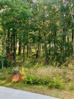 Summer House At Thyholm With Fjord View - Thyholm - 1