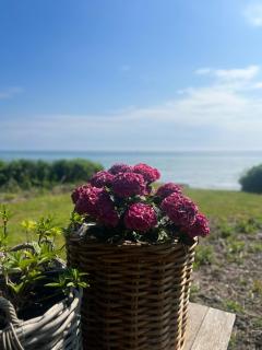 Beachfront Summerhouse With Amazing View And Peace - Hesselager - 7