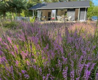 Cozy Summer House In Peaceful Nature Near Rørvig - Nykøbing Sjælland - 6