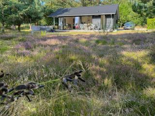 Cozy Summer House In Peaceful Nature Near Rørvig - Nykøbing Sjælland - 3