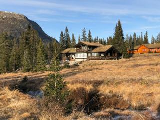 Mountain Home At Haglebu With Activities - Eggedal - 0