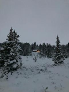 Peaceful Cabin By Rødungen - Ål - 7
