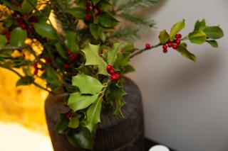 LOFT SUITE FEMmE NOIR ''LA REGGIA'' - Caserta - 2