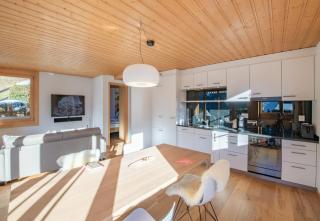 Chalet Sterndolde Apt 1 - Wengen - 3