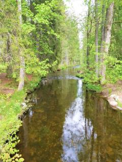 Residenz Am See - Fewo 1 und Fewo 3 - Titisee-Neustadt - 3