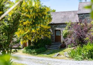 Ysgubor Ganol - Whitland - 9