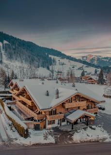 Ultima Hotel Gstaad - Gstaad - 3