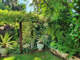 Gartenhaus Steffie - Potsdam - 2