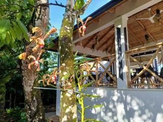 cacao resort las taranas -  - 1