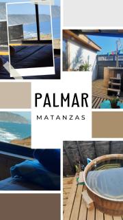 Palmar Matanzas - Boca Pupuya - 6