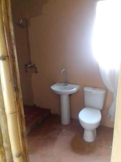 Bambazoo Guest Suite - 6