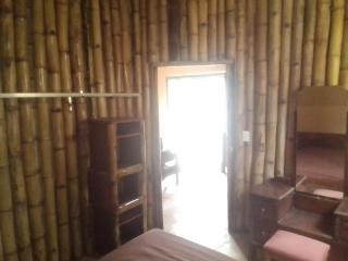 Bambazoo Guest Suite - 5