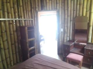 Bambazoo Guest Suite - 1