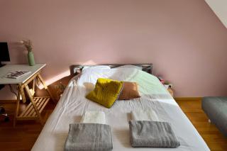 Spacious apartment with balcony - Annecy - 1