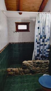 Bosque Nativo - Lago Puelo - 4