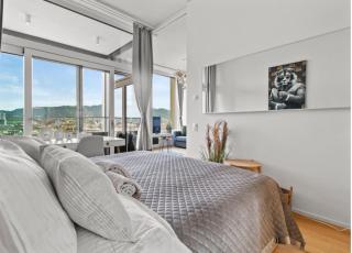 Luxury Business Penthouse near Mainstation Zürich - Zurigo - 2