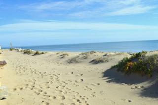 Appart Studio 2 couchages PORT LEUCATE NATURISME PL010-732 - Leucate-Plage - 1