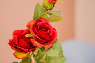 1-Zimmer-Wohnung 58 - 5