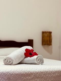 Hostel Araras Beach - Trairi - 0