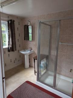 Traditional Farmhouse in Seaforde - Drumaroad - 5