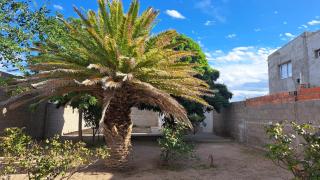 Casa Tierra - San Antonio Oeste - 8