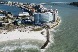 Opal Sands - Clearwater Beach - 4