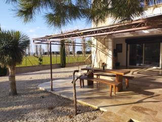 Vacation rental with pool and Jacuzzi, close to Arles - sleeps 10 - Arles - 5