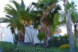 House Paradise Amedeo - Bauso - 2