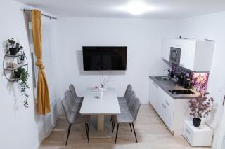 Minimalist Apartment in Wenceslas Square - Prague - 1