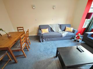 Bright and Spacious 2-Bedroom Flat Near Emirates Stadium - Londra - 3