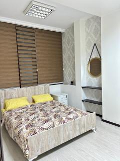 3 bedroom apartment in the city centre - Baku - 1