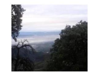 Hotel Valley View, Mussoorie, 1km from Mall Rd - Mussoorie - 6