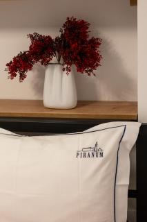 Piranum Guesthouse - 3
