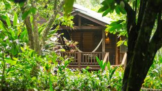 The Lodge at Pico Bonito - 1