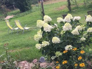 FeWo Honighof Hümmling -  - 7