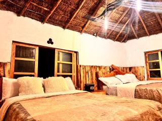 Podocarpus cottages 03 - Nanyuki - 8